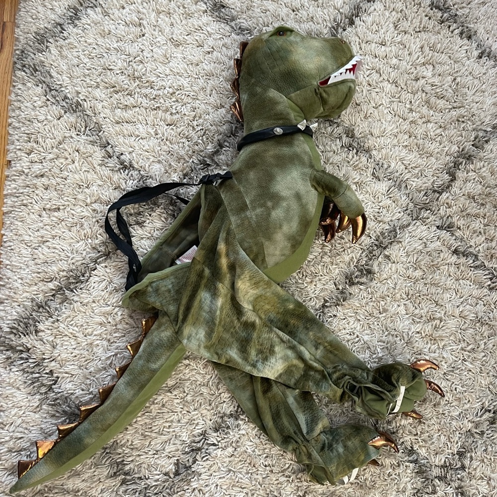 Kids Dinosaur costume